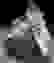 item-40515019=6