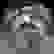 item-40515019=7