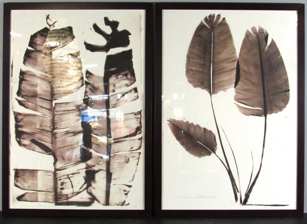 Madeline & Robert Longstreet - 2 Prints: Studies of leaves (Elephant Ears). Archival prints. Signed and copyrighted 2005. 51/ 200, and 55/200. 43" X 29" (47" X 33") (Central Park South Residence)