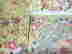 item-83190712=8