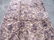 Modern Chinese Rug - 5'9" X 8'8" - 4