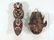 2 Painted and Carved Ethnic Masks
