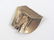 2 Mid Century Sterling and Gold Brooches/Pins - 5