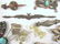 Assorted Costume Jewelry - 6