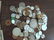 Large Collection Foreign and US Currency - 6