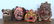 4 Large Carved Wood Indonesian Masks - 2