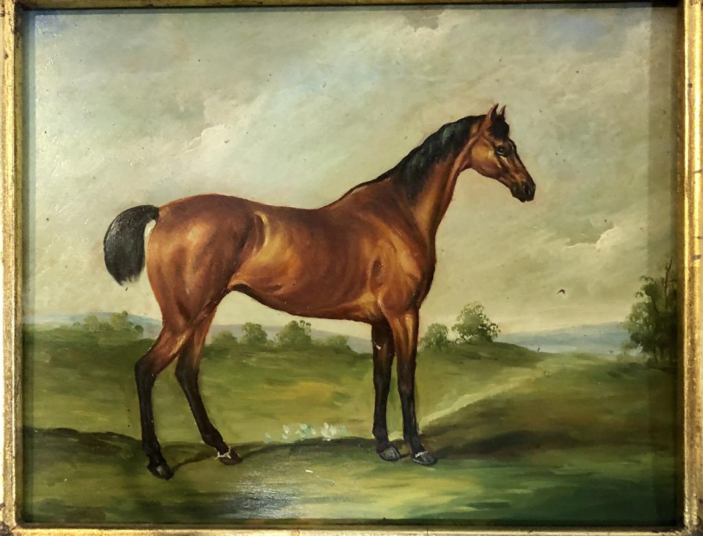 Oil on Board - Study of a Horse (1 of 4)