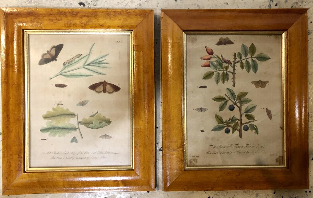 Pair of Antique Hand Colored Prints (1 of 7)
