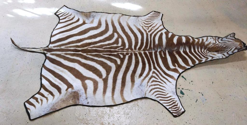 Animal Skin Rug (1 of 7)