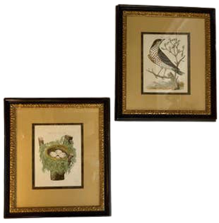 Pair of Signed Framed Bird Lithos (1 of 8)
