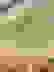 item-104412571=6