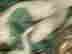 item-134947119=17