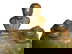 item-210535189=1