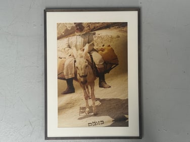 In the Image of Mute: Donkey Photograph by Orit Ben-Shitrit