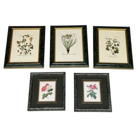 Two sets of Botanical Prints, Framed and Matted