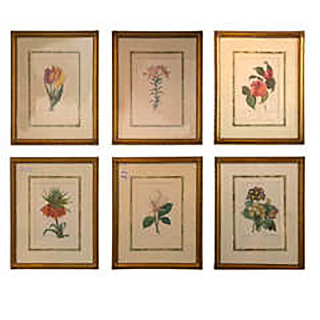 SET OF BOTANICAL PRINTS (1 of 6)