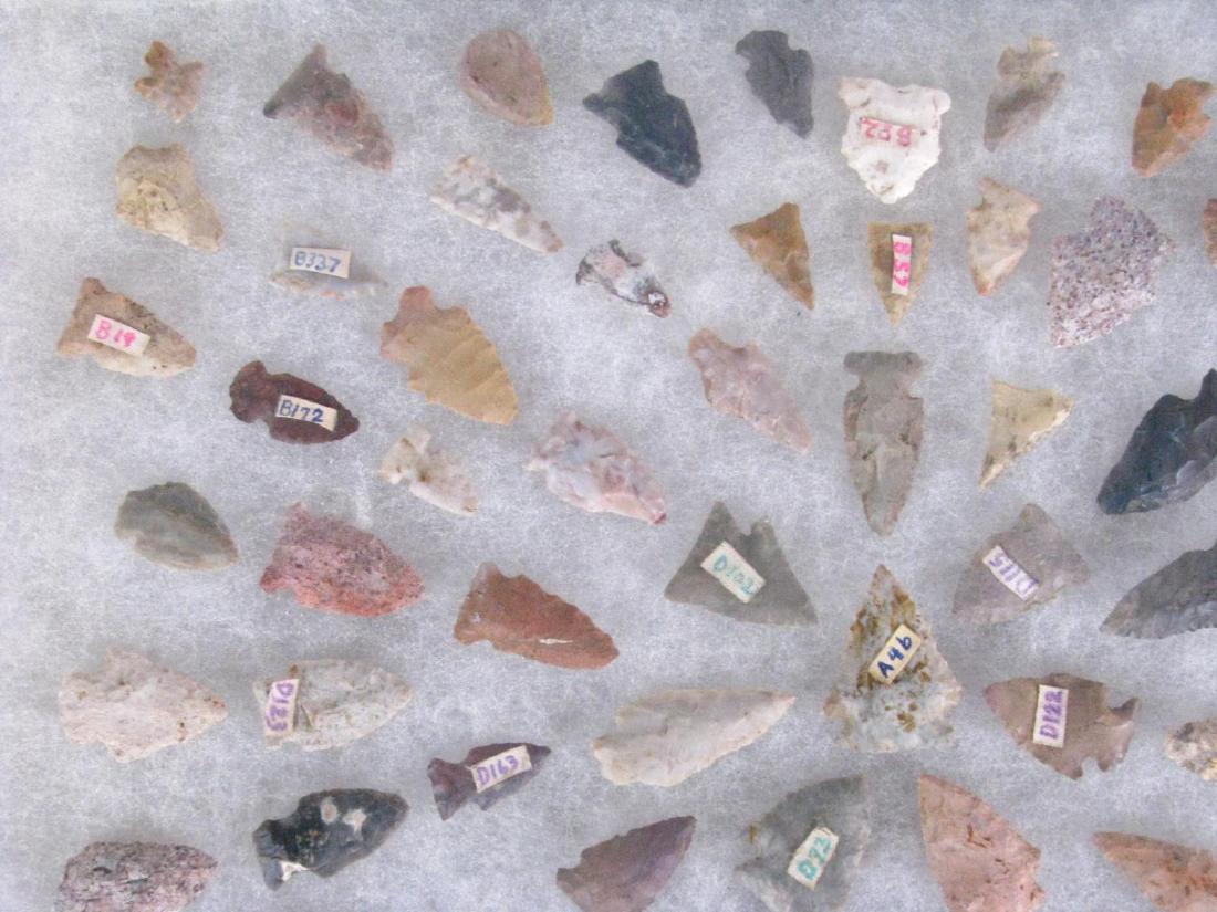 Collection of Indiana Bird Points (1 of 5)