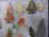 item-55224201=2