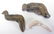 Three Ancient Ecuadorian Bird Idols