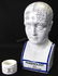 L.N. Fowler Porcelain Phrenology Bust