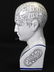 L.N. Fowler Porcelain Phrenology Bust - 2