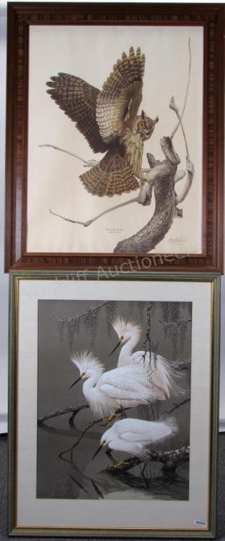Two Guy Coheleach Framed Prints (1 of 6)