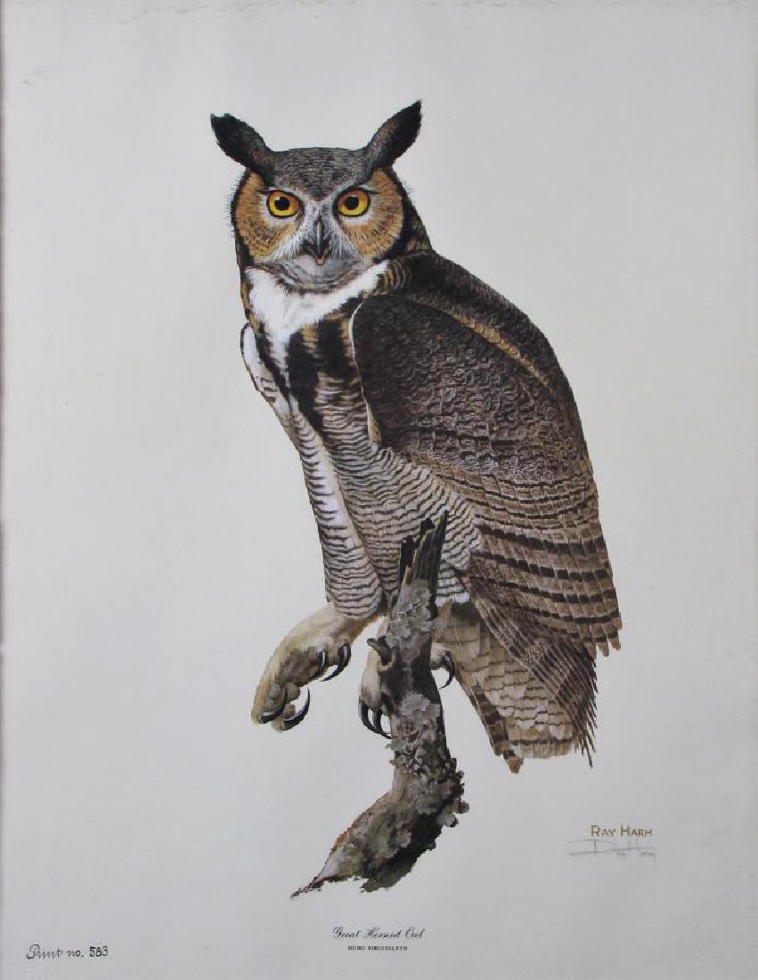 Ray Harm Great Horned Owl Print, Framed (1 of 5)