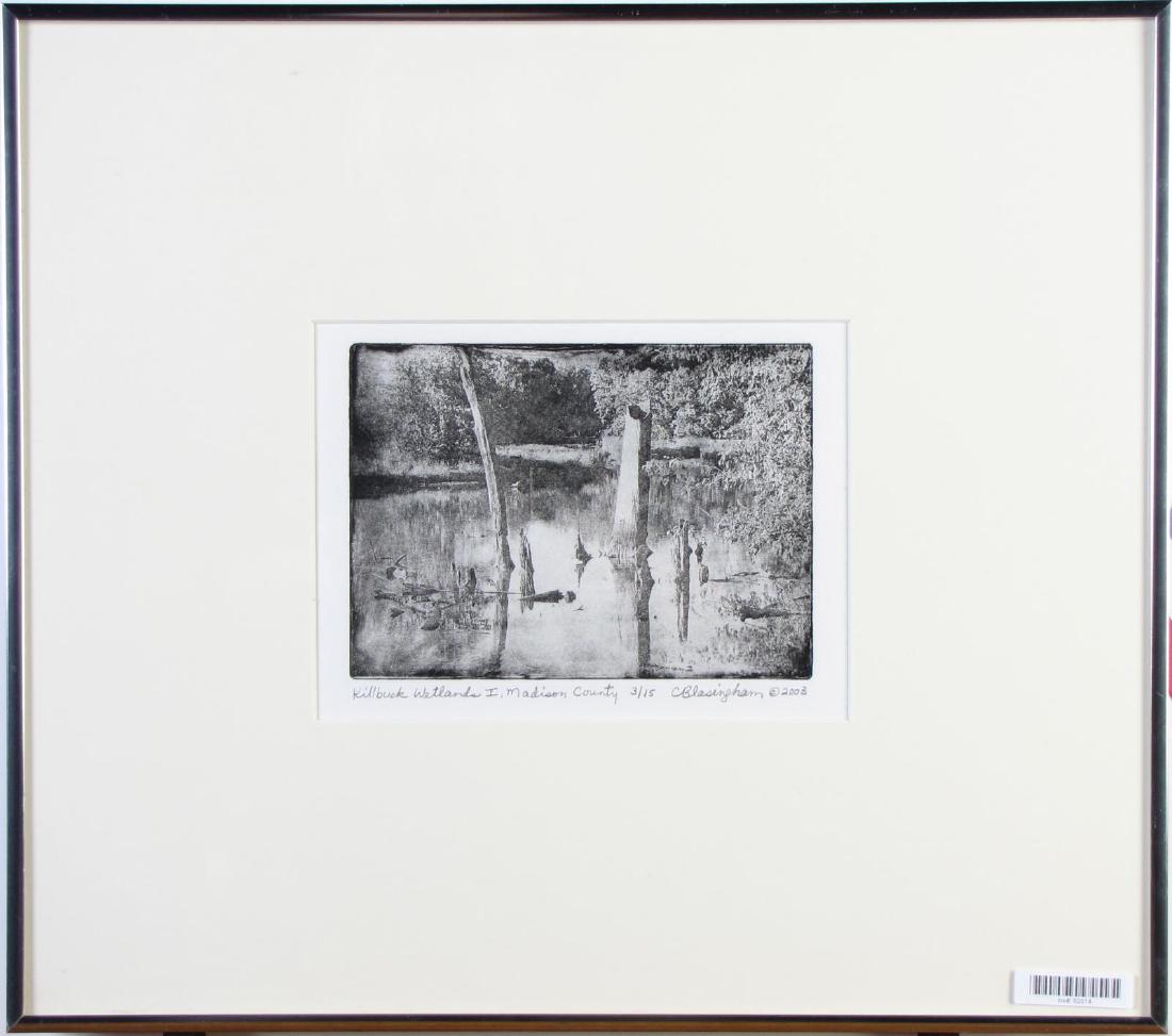Cynthia Blasingham Etching, Prize Winner (1 of 9)
