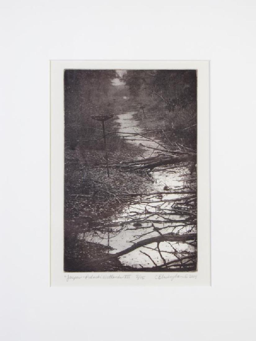Cynthia Blasingham Intaglio Print, Juried (1 of 10)