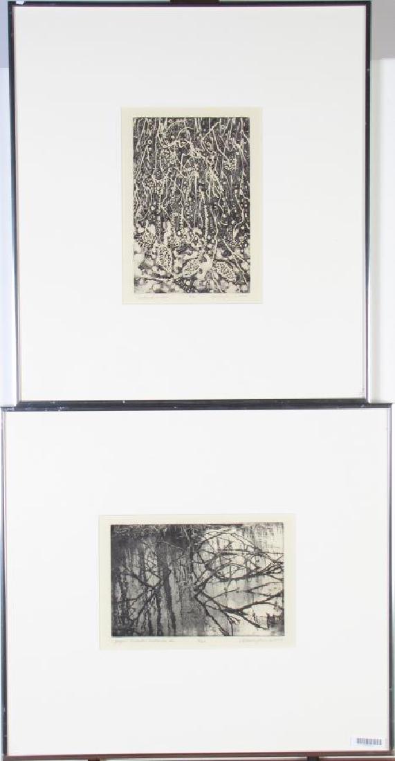 Two Framed Intaglio Prints by Cynthia Blasingham (1 of 8)
