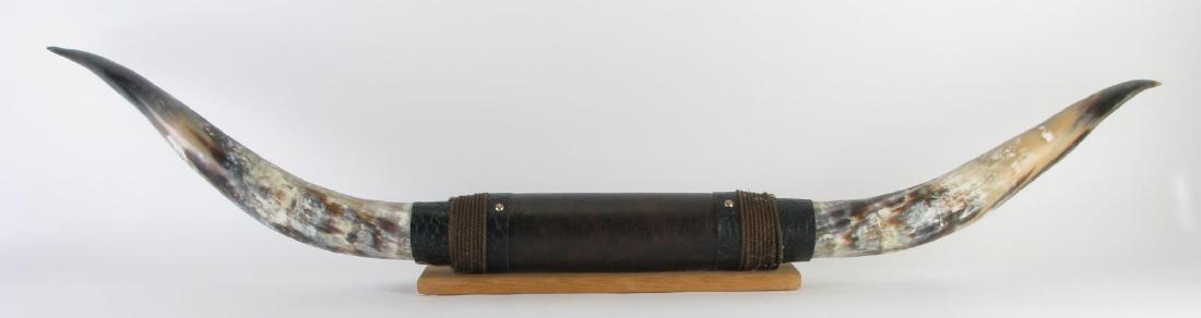 Texas Longhorn Steer Horns Wall Mount Display (1 of 3)