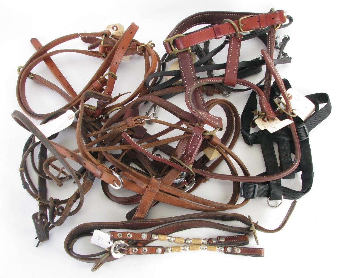 Group of Horse Collars, Headstalls and Halters (1 of 3)