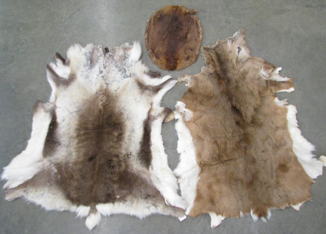 Wolf and Deerskin Rugs with Beaver Pelt (1 of 4)