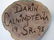 Darin Calnimptewa Native American Wood Carving - 5