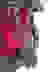 item-70172725=4