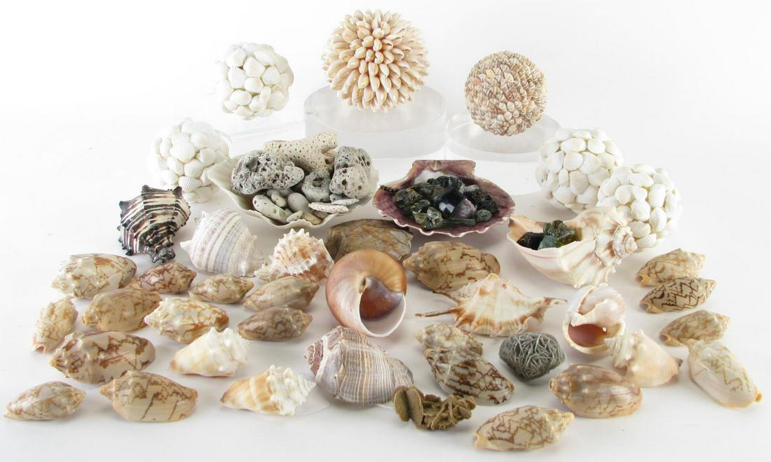 Collection of Decorative Shells and Minerals: Collection of Decorative Shells and Minerals, including: shell balls, sea glass, shells and various rocks and minerals