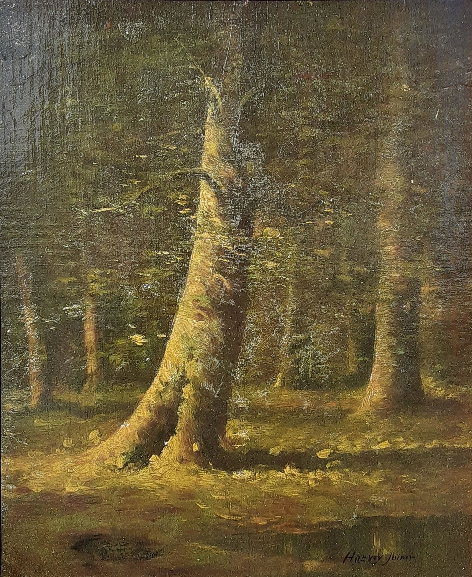 Harvey Joiner 12x10 O/B Interior Woods (1 of 3)