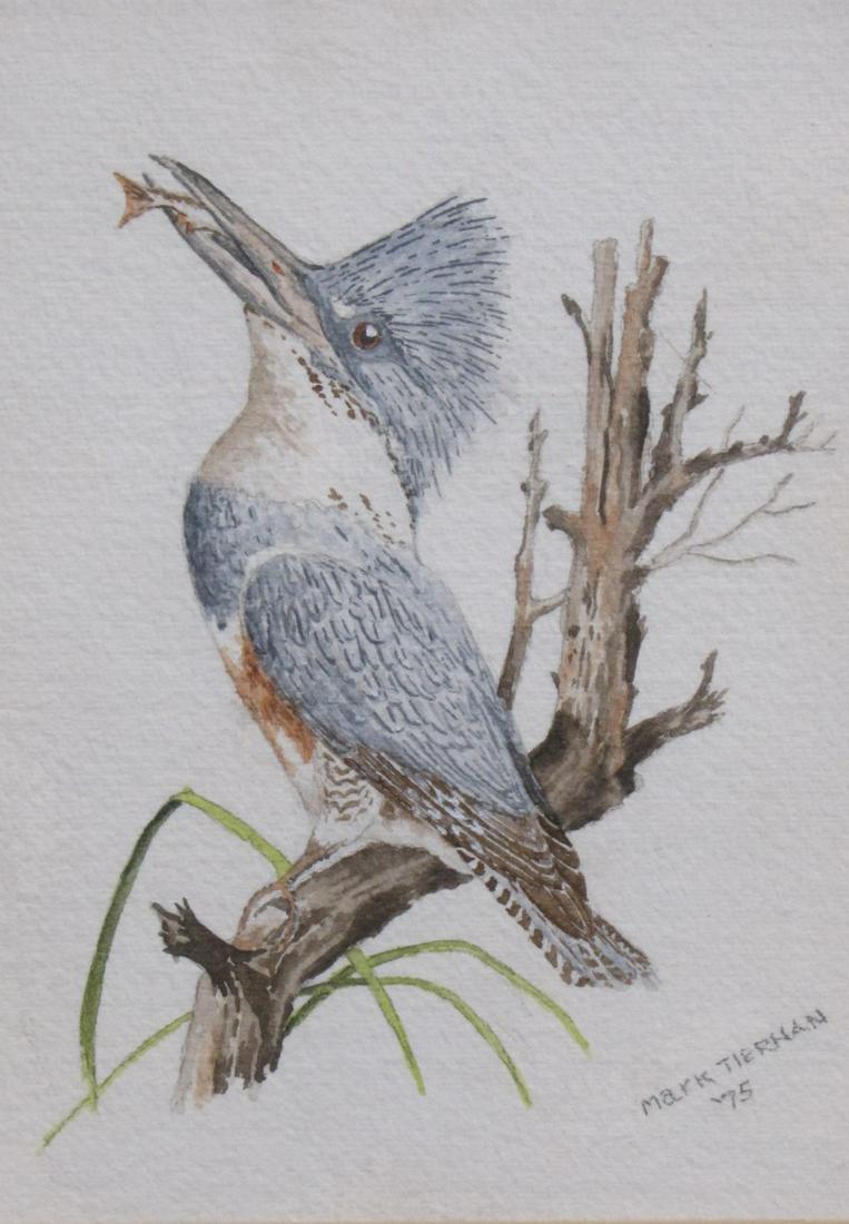 Mark Tiernan 6.5x4.5 WC Bird with Fish (1 of 3)