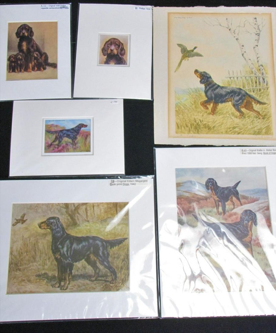 Six, Vintage Dog Prints, Cigarette Cards (1 of 5)