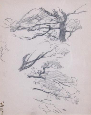 TC Steele 8x10 graphite Studies of Trees: Theodore Clement Steele (1847-1926), Studies of Trees, Graphite on paper, 7 7/8 x 10 1/8 in. (20 x 25.6 cm), Unsigned, mat size 15 1/2 x 17 1/4