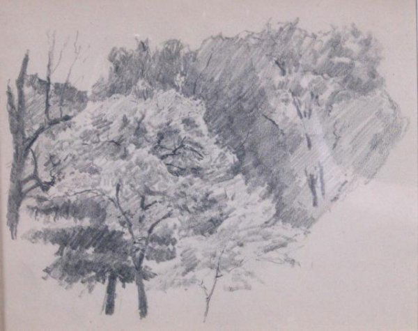 TC Steele 8x10 graphite Trees: Theodore Clement Steele (1847-1926), Trees, Graphite on paper, 7 7/8 x 10 1/8 in. (20 x 25.6 cm), Unsigned, mat size 14 1/2 x 16 3/4