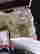 item-110407055=2