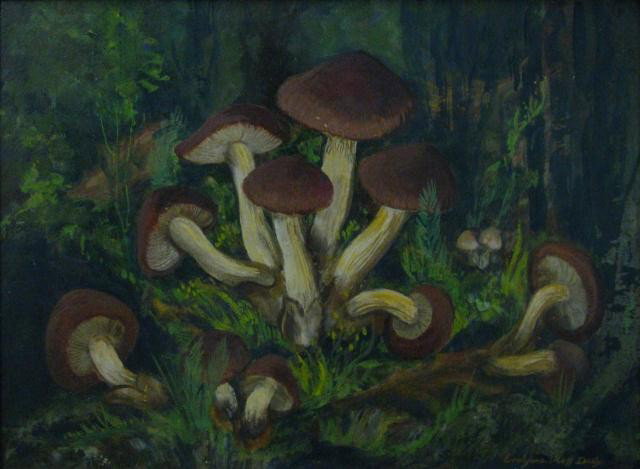Ev Mess Daily 12x16 OB Mushrooms: Evelynne Mess Daily (IN, 1903-2003) 12 x 16 oil on board, signed lower right, depicting mushrooms in garden