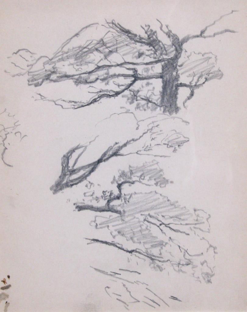 TC Steele 8x10 graphite Studies of Trees: Theodore Clement Steele (1847-1926), Studies of Trees, Graphite on paper, 7 7/8 x 10 1/8 in. (20 x 25.6 cm), Unsigned, mat size 15 1/2 x 17 1/4