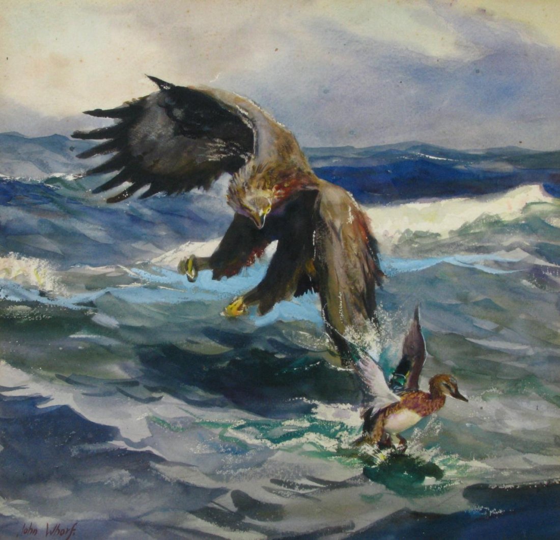 John Whorf 15x15.25 Gouache Eagle & Duck: John Whorf ( Amer. 1903-1959) 15 x 15.25 Gouache, Signed Lower Left, depicting an eagle attacking a duck on water, size as framed 26 x 26, was likely created for possible use in Outdoor Life magazine