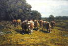 George A Hays 18x26 O/C "Cows in the Pasture"