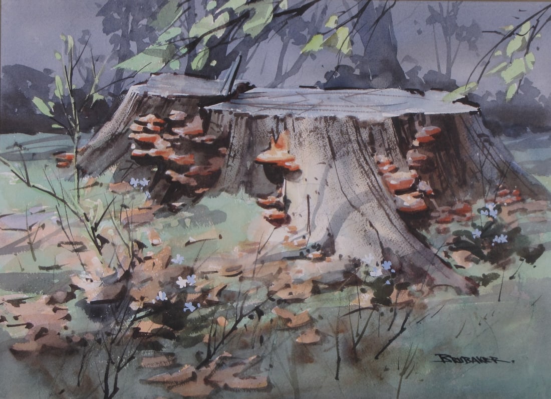 Robert Brubaker 12x17 WC Tree Stumps and Flowers (1 of 5)