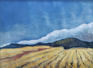 Carolyn Martens 15x20 O/C "Mountains and Plains"