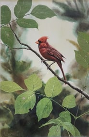 Jean Vietor 14x9 WC "Cardinal"