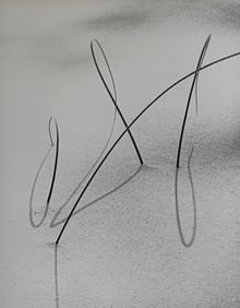 Ray Hartl Photo Lithograph, "Reeds"